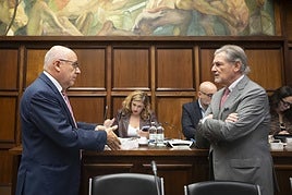 Isbel Mena, consejera de Política Social del Cabildo, sentada antes del inicio del Pleno.
