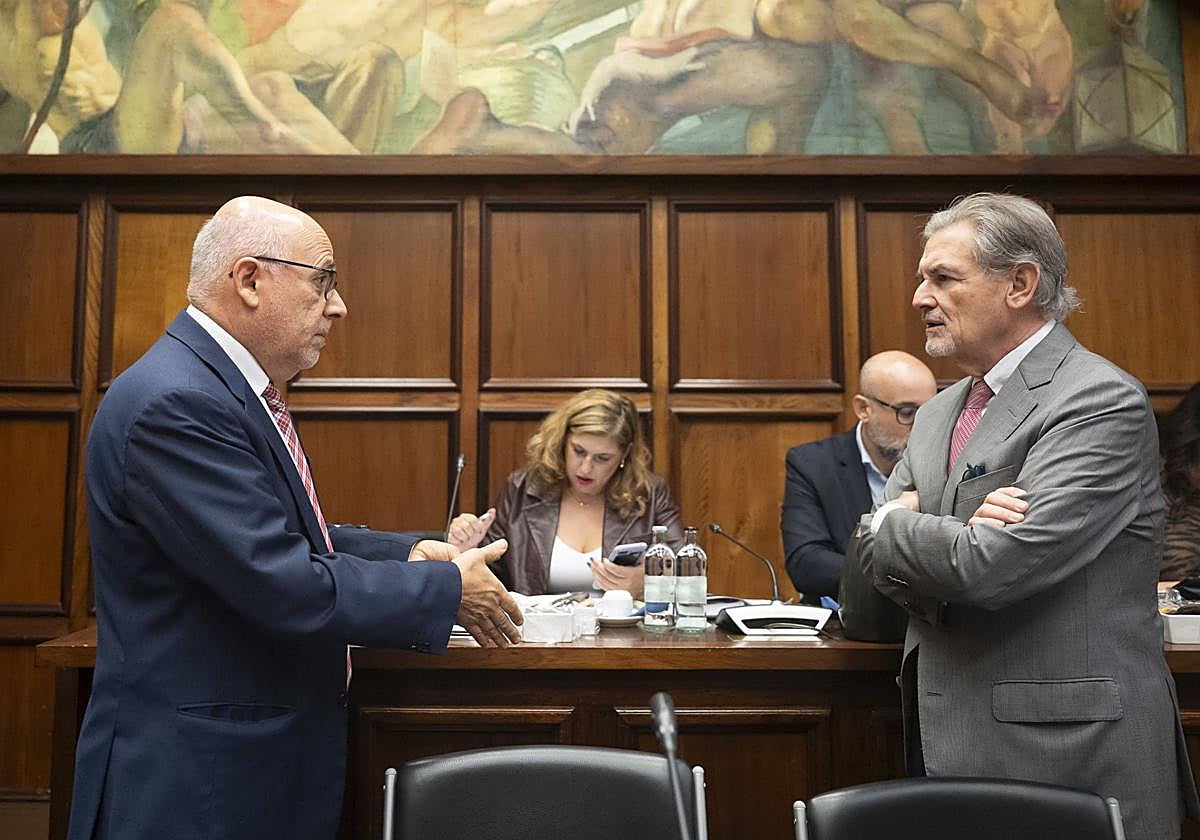 Isbel Mena, consejera de Política Social del Cabildo, sentada antes del inicio del Pleno.