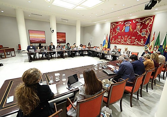 Comisión de Derechos Sociales del Parlamento de Canarias.