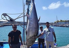 En marzo de 2025, los hermanos Iván y Lucas Trujillo, marineros de Morro Jable, cogieron el primer atún rojo de la temporada en toda Canarias.