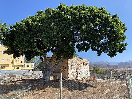 Vista de la Casa del Mato.