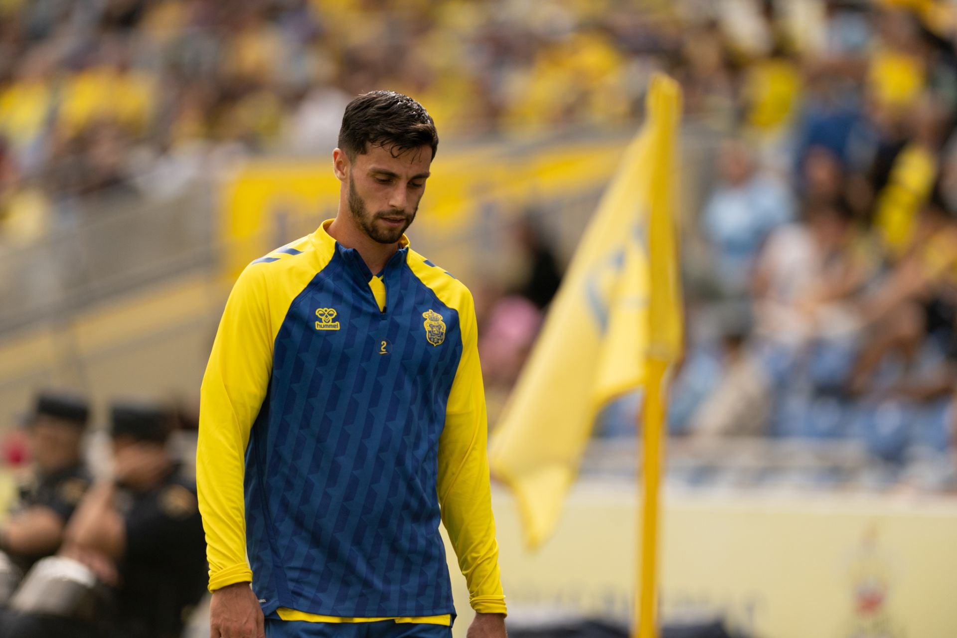 Loiodice, en el Gran Canaria.