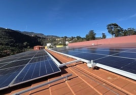 La Bodega Insular de Gran Canaria estrena su planta fotovoltaica