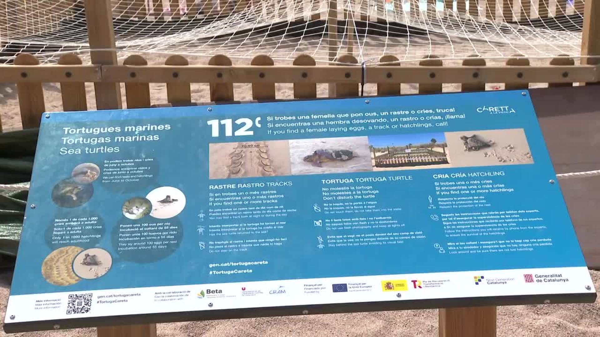 Voluntarios vigilan los 101 huevos que puso una tortuga en la playa de Girona