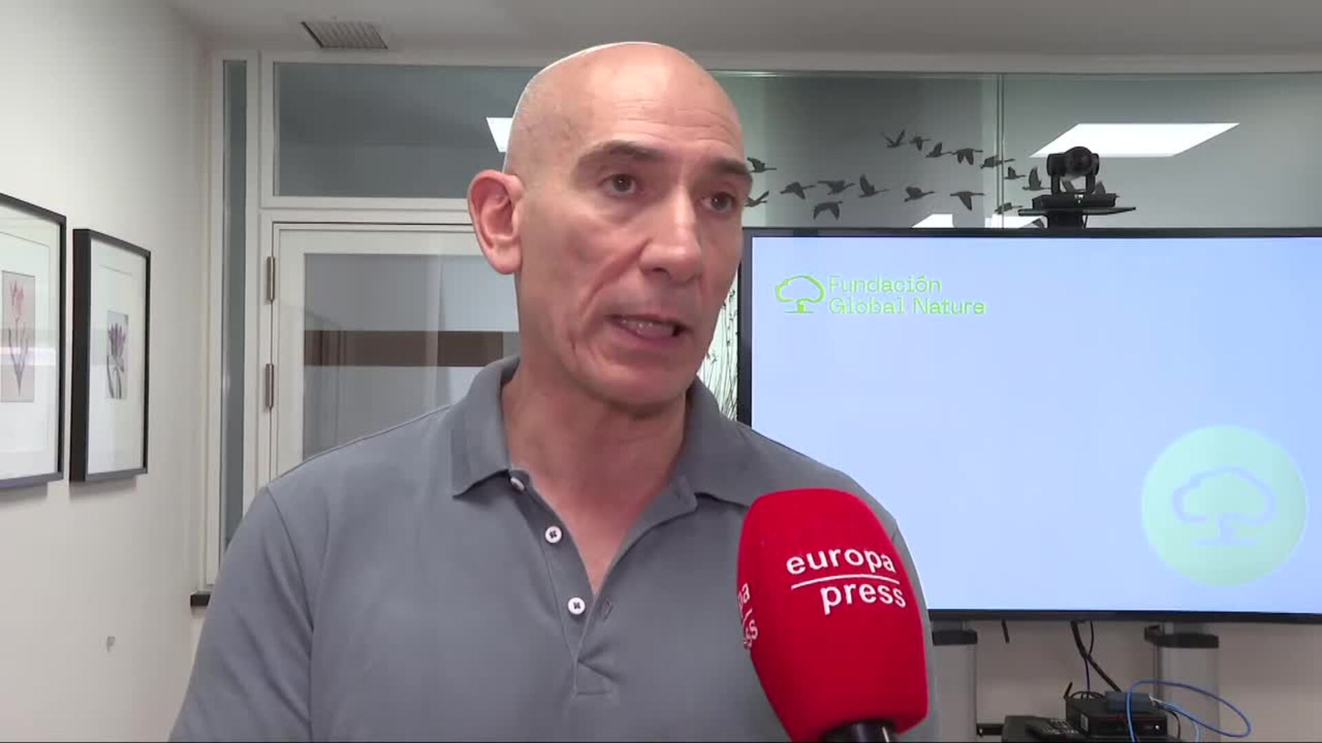 Global Nature dice que la ganadería extensiva es un factor clave en la prevención de incendios