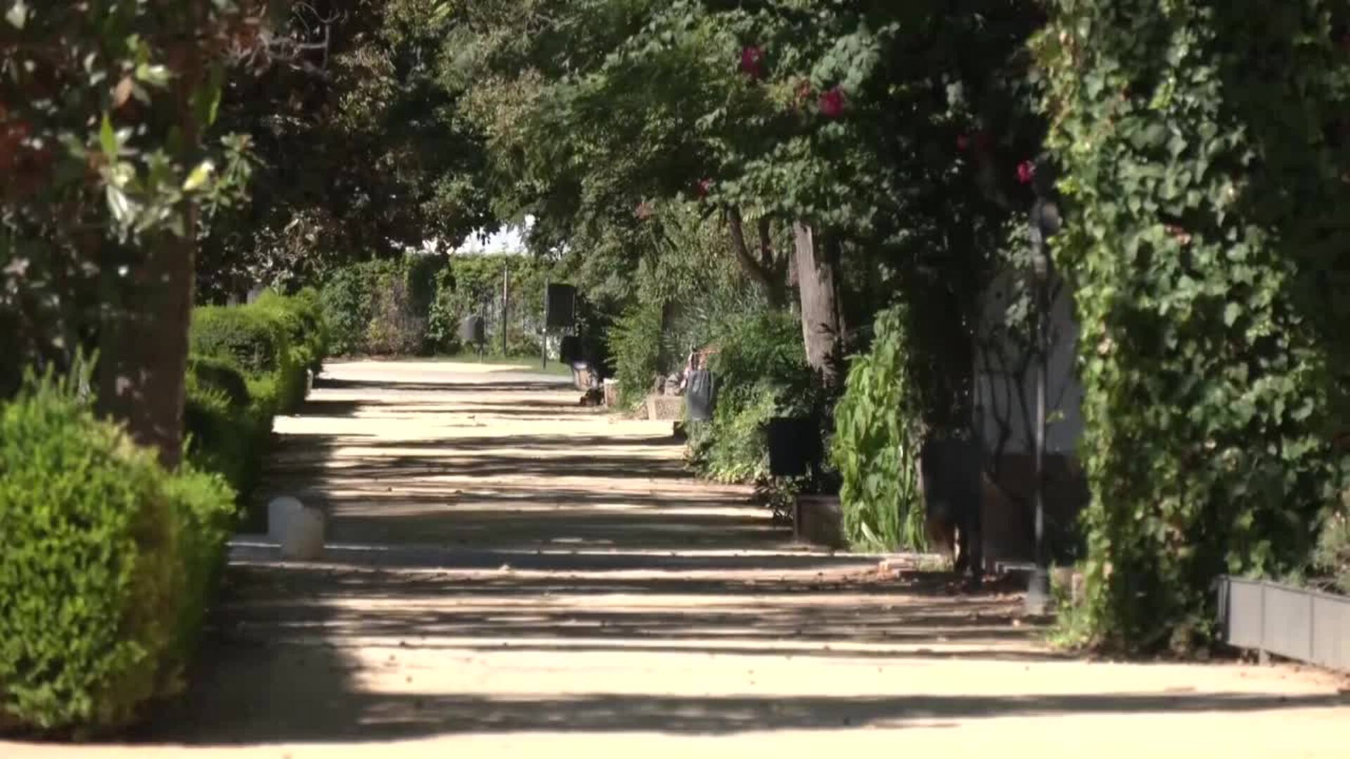 Sevilla decreta el preventivo del Parque de María Luisa tas el hallazgo de patos muertos