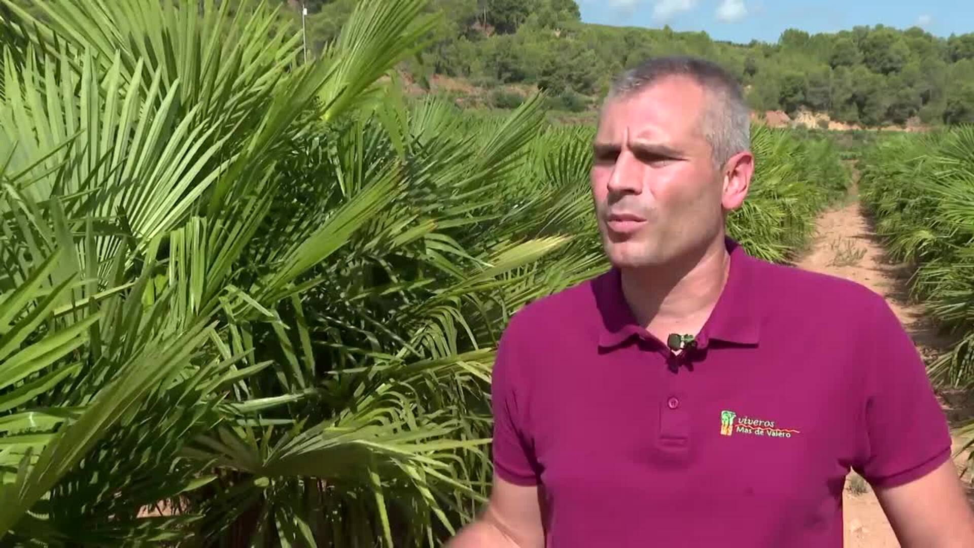 Viveros Más de Valero, Pyme del Año en Castellón