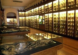 ¿Los guanches son todos o solo de Tenerife?