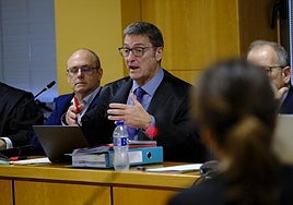 Adelaida Pérez, testigo del caso Mediador: «Fui yo quien pedí un sueldo de 3.000 euros»