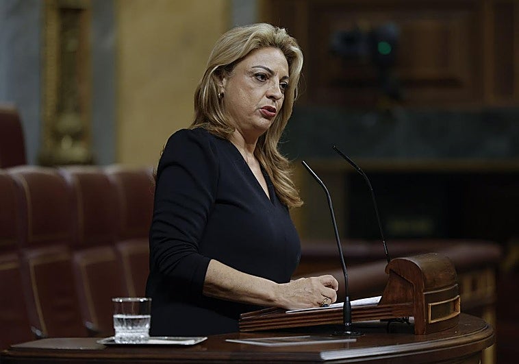 Cuerpo da su «apoyo decidido» para defender la singularidad canaria en el nuevo marco financiero