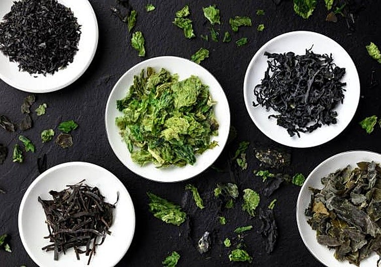 Comer algas está de moda: cuáles son las más consumidas y qué nos aportan