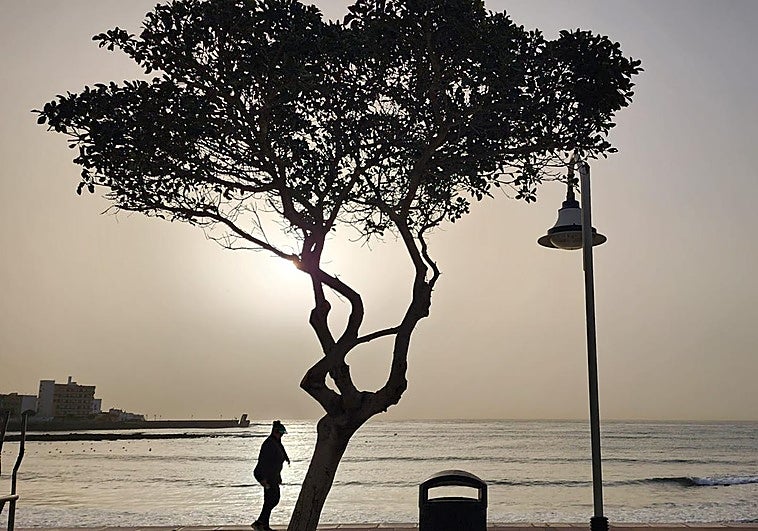 La calima vuelve esta semana a Canarias según informa la Aemet