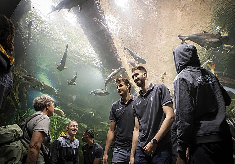 El acuario Poema del Mar recibe al Dreamland Gran Canaria
