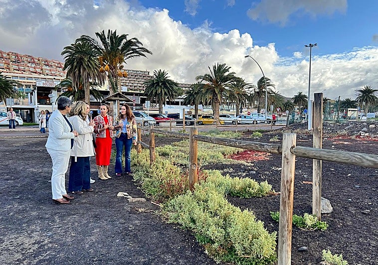 El Saladar de Jandía recuperará más de 9.000 metros cuadrados de superficie degradada