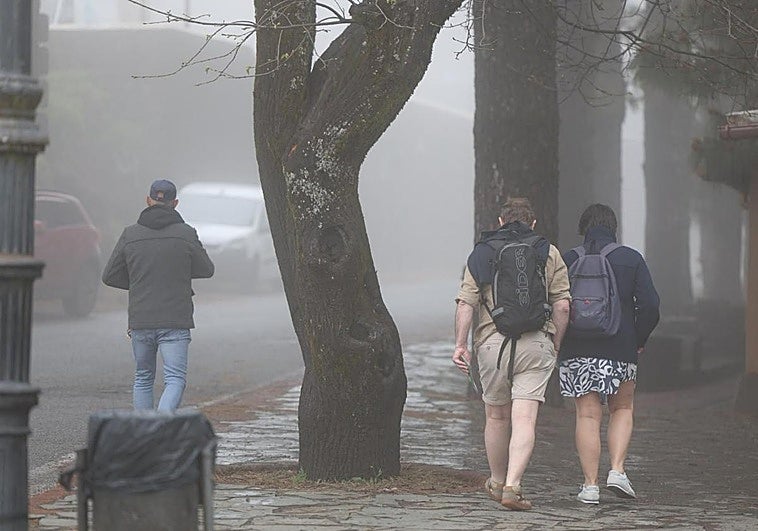 Potaje meteorológico de frío, niebla, viento, oleaje y sol en Canarias