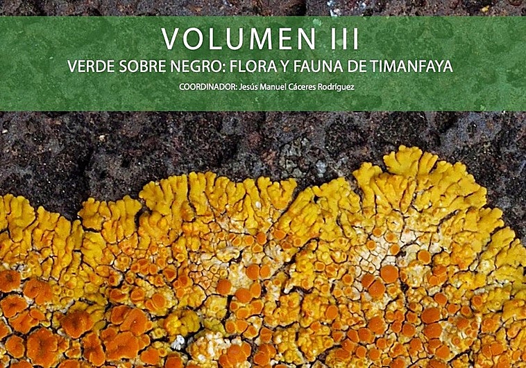 Obra digital gratuita sobre el Parque Nacional de Timanfaya