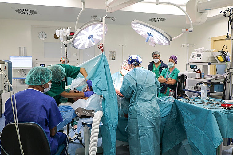 Piden que se garantice el derecho de las mujeres a estar acompañadas en partos por cesárea