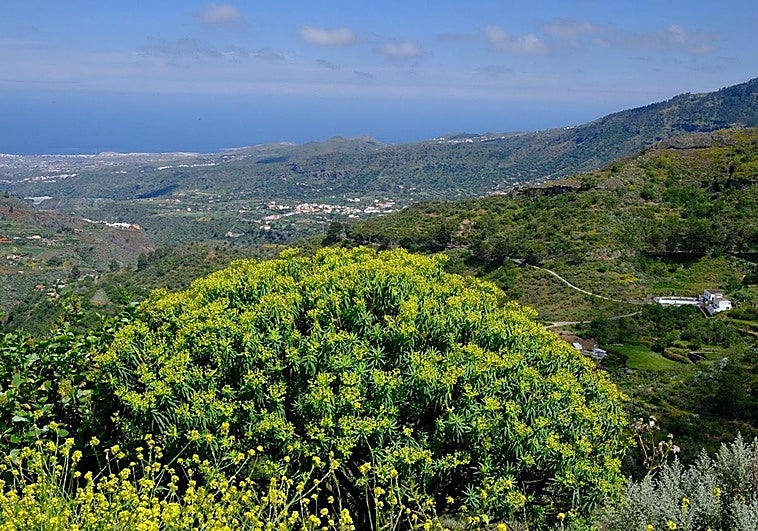 Sol y temperaturas en ascenso para arrancar mayo en una Gran Canaria verde