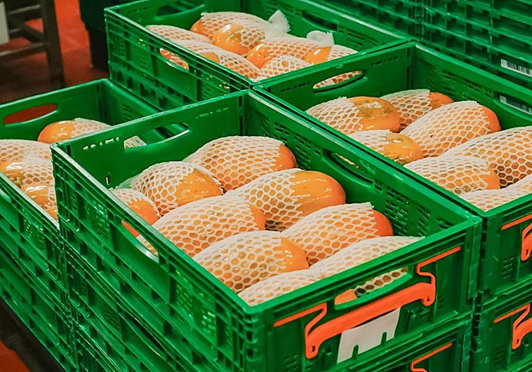 Mercadona supera los 810 millones en compras a proveedores canarios y crea 300 empleos en un año