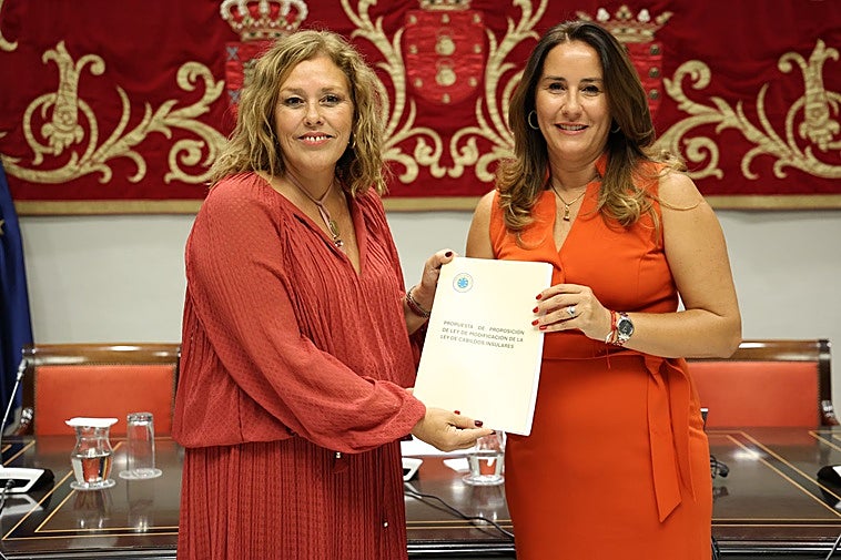 Los cabildos «se hacen mayores» con la nueva ley que debatirá el Parlamento en junio