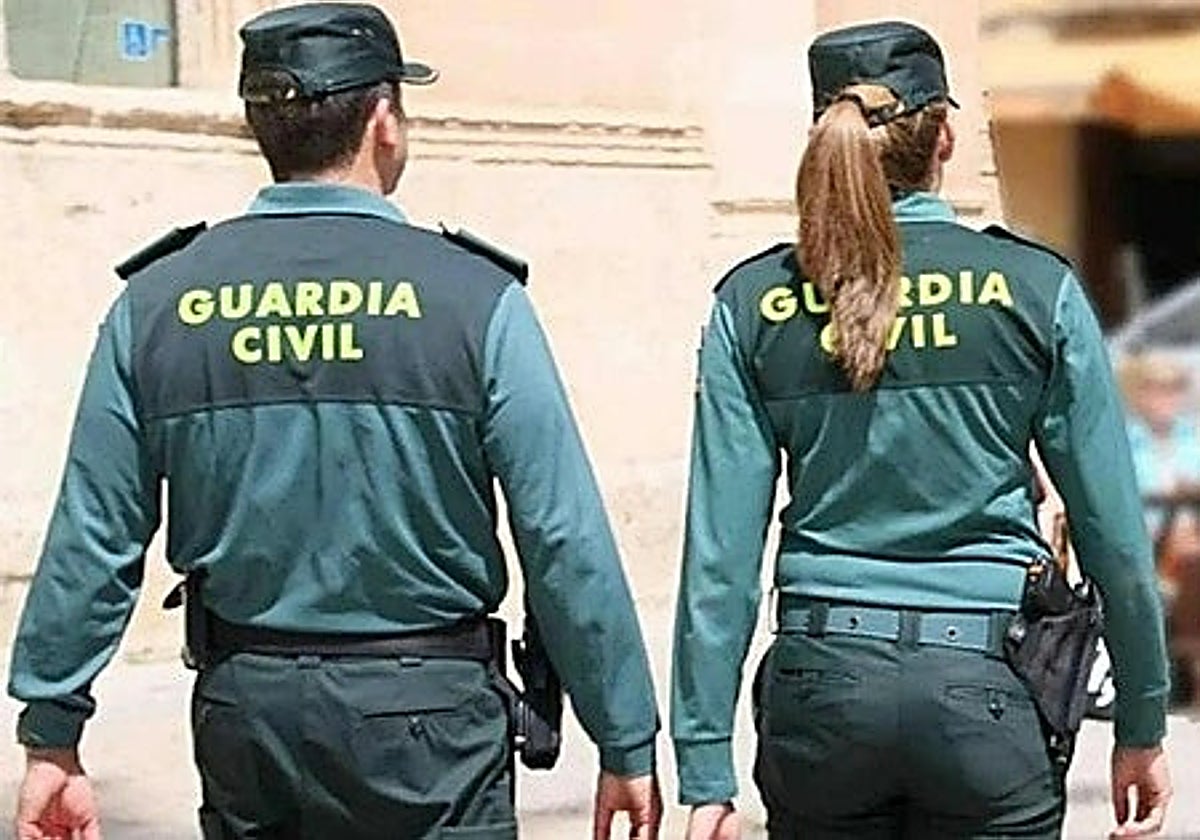 www.canarias7.es