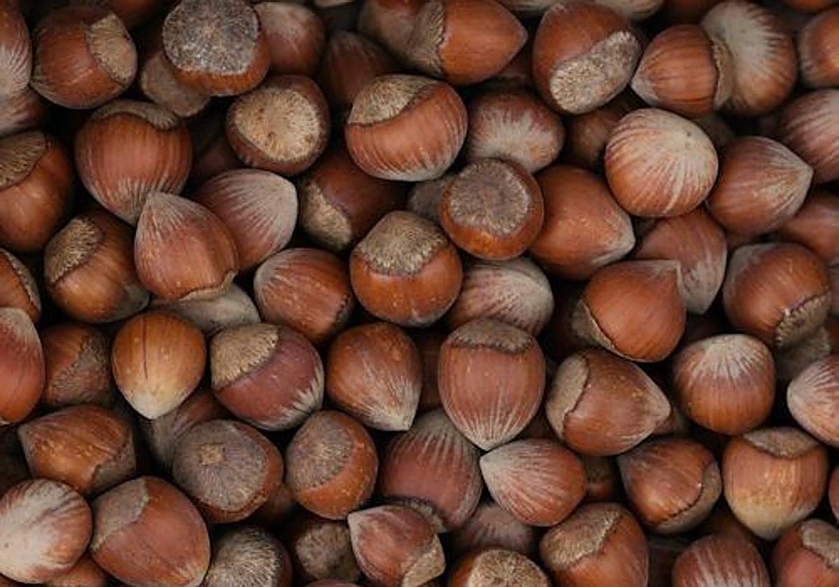El fruto estrella del otoño también conquista los fogones