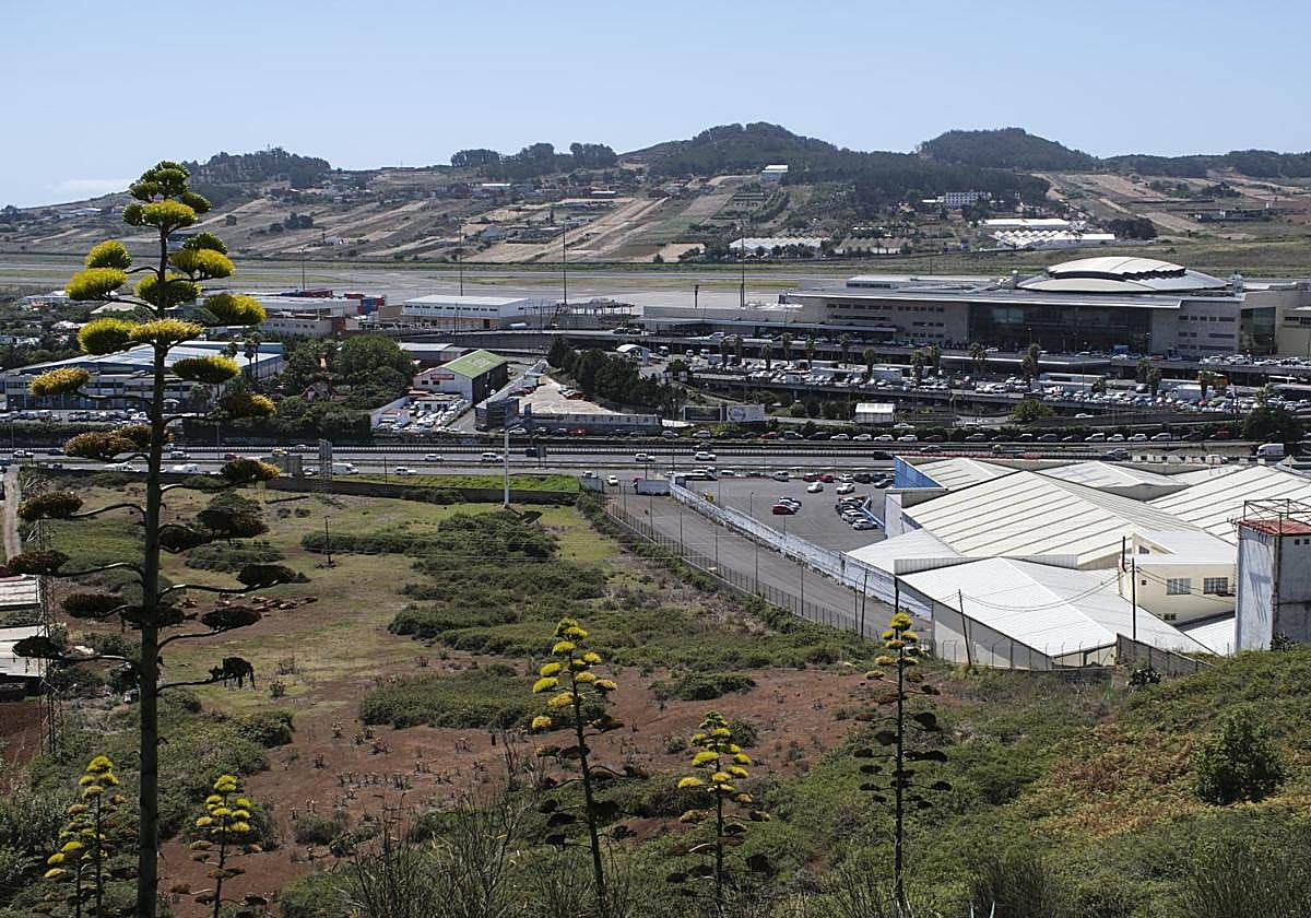 Vueling flight from Barcelona lands safely after technical problem in Tenerife