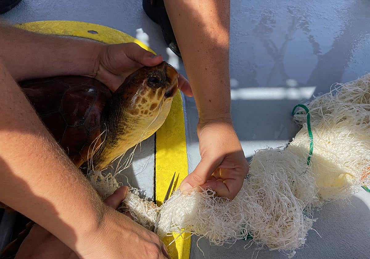 La basura se acumula en las dos principales zonas marinas protegidas de Canarias | Canarias7