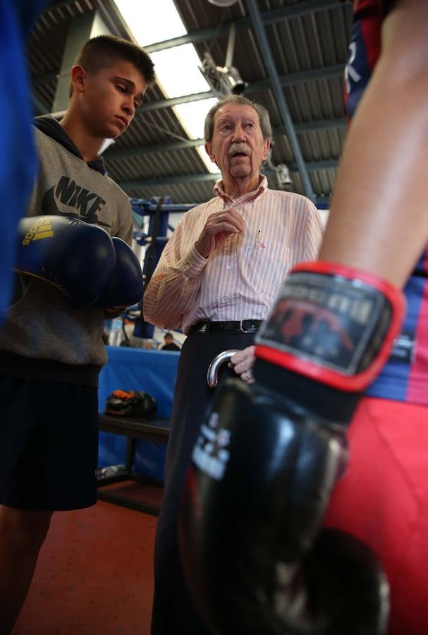 Alcántara, de nuevo en el ring