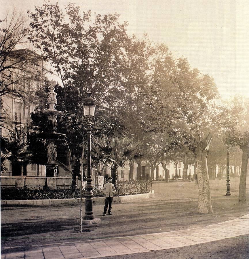 Árboles en el extreno occidental de la Alameda. (Osuna h. 1900)