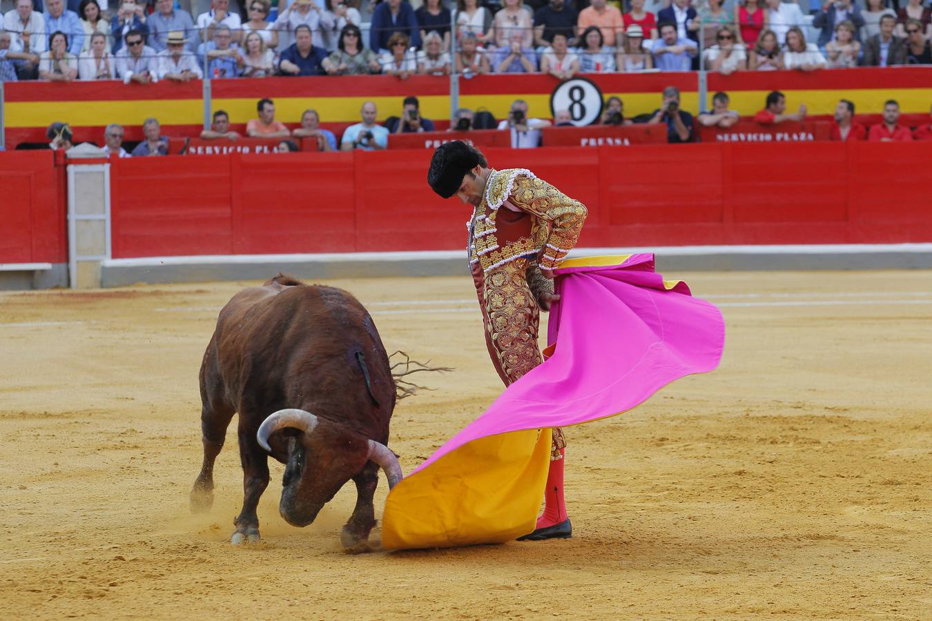 Fotos de la cogida de José Tomás en Granada