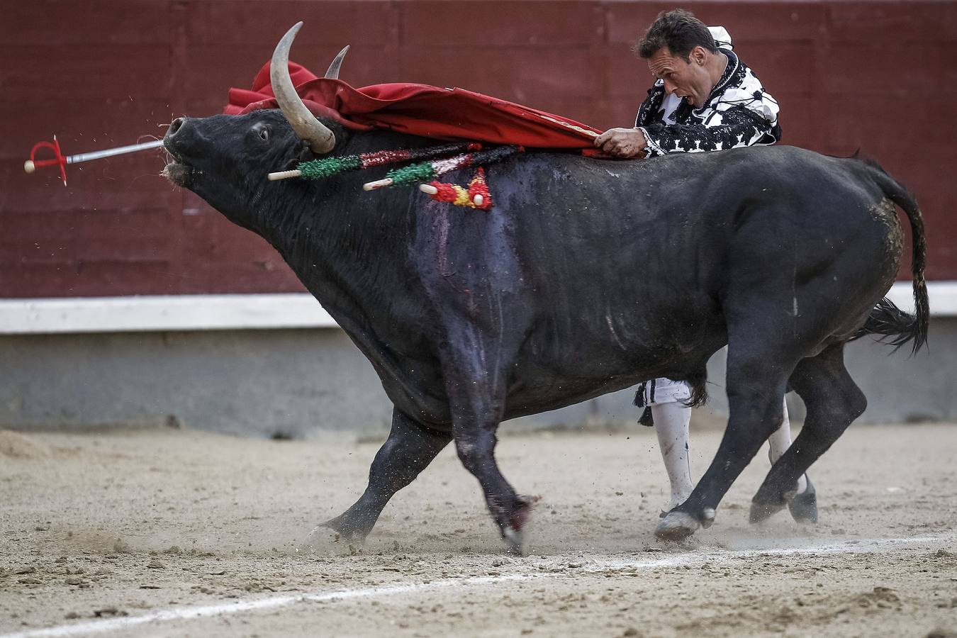 Morante de la Puebla, El Juli y Miguel Ángel Perera, en la Goyesca