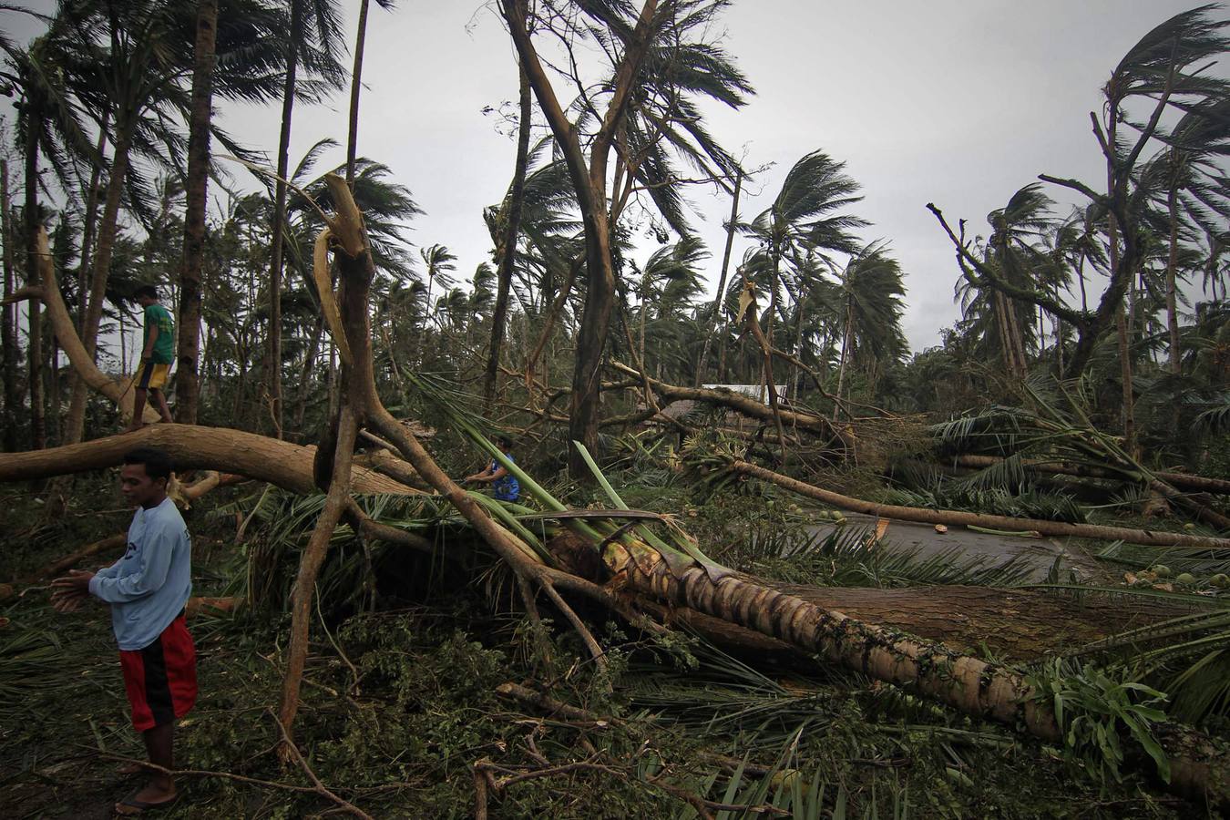 El paso de Hagupit, en imágenes