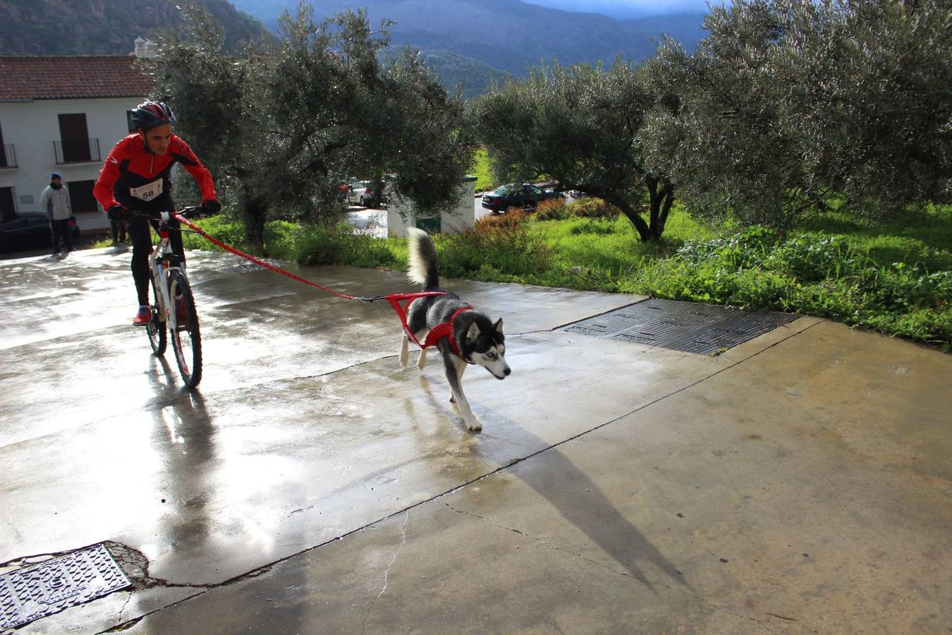 Montejaque celebra su I Canicross