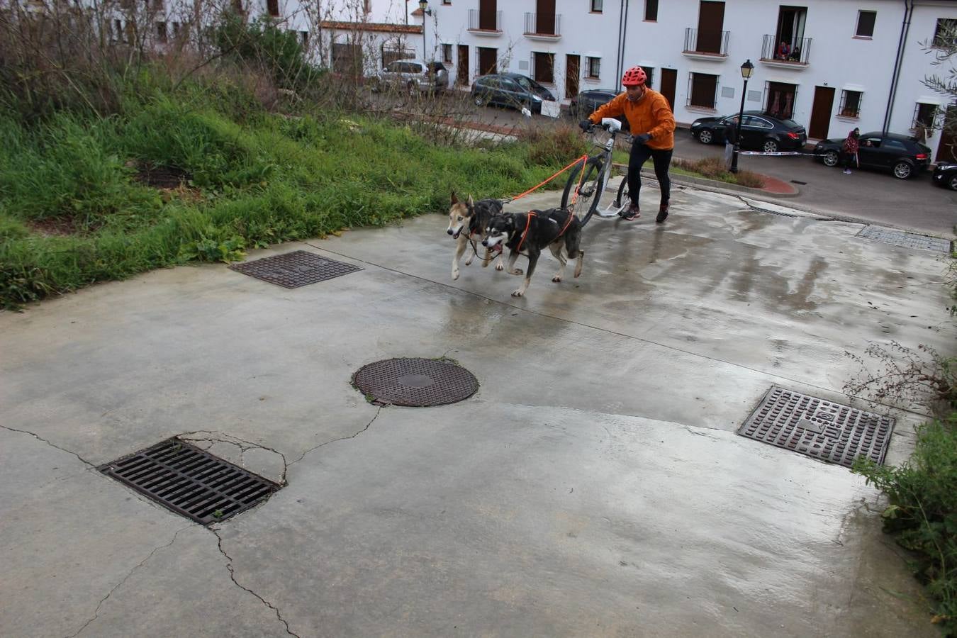 Montejaque celebra su I Canicross