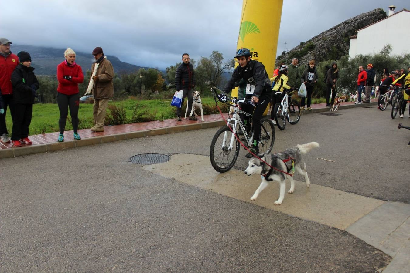 Montejaque celebra su I Canicross