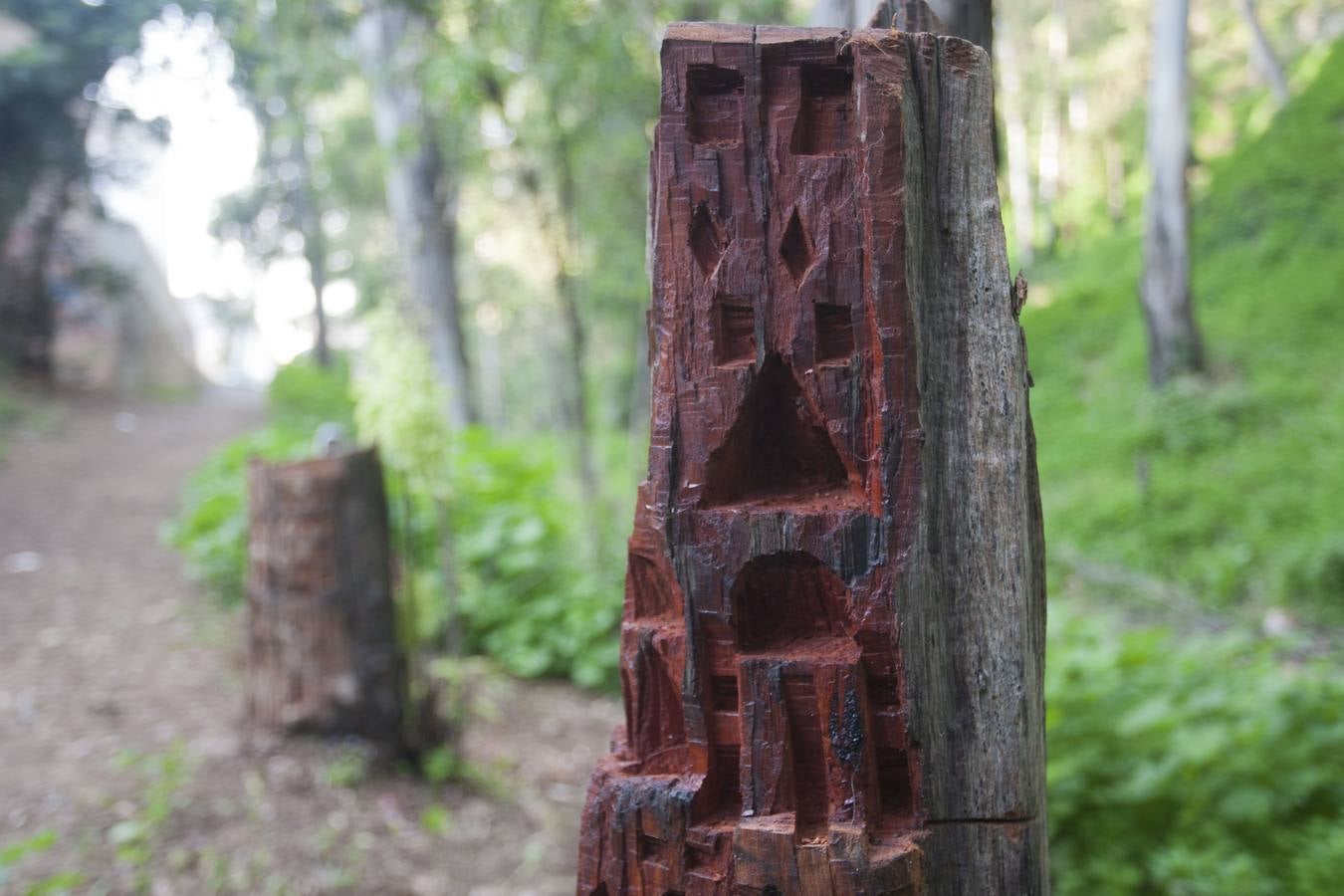 Troncos tallados