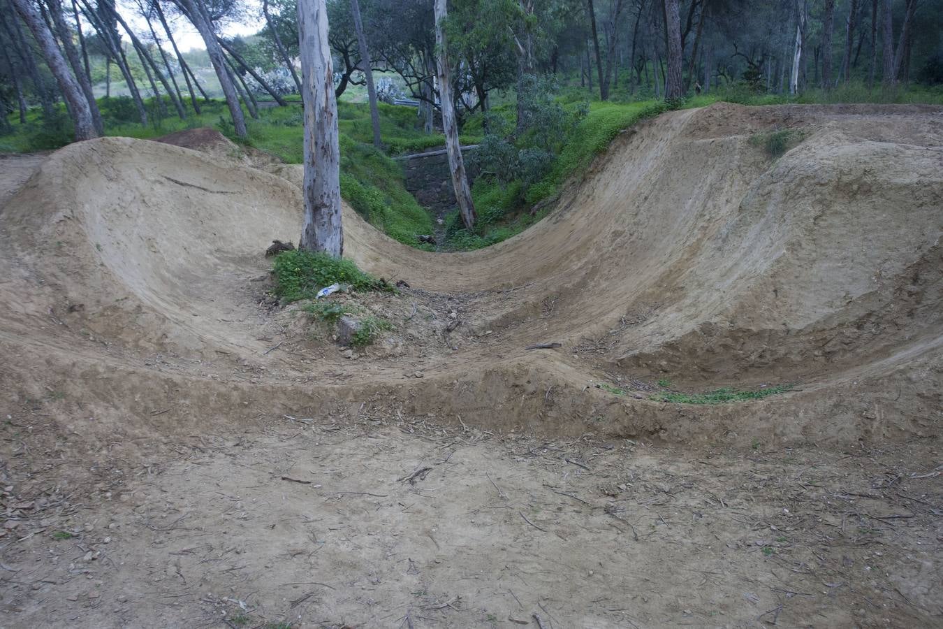 Troncos tallados