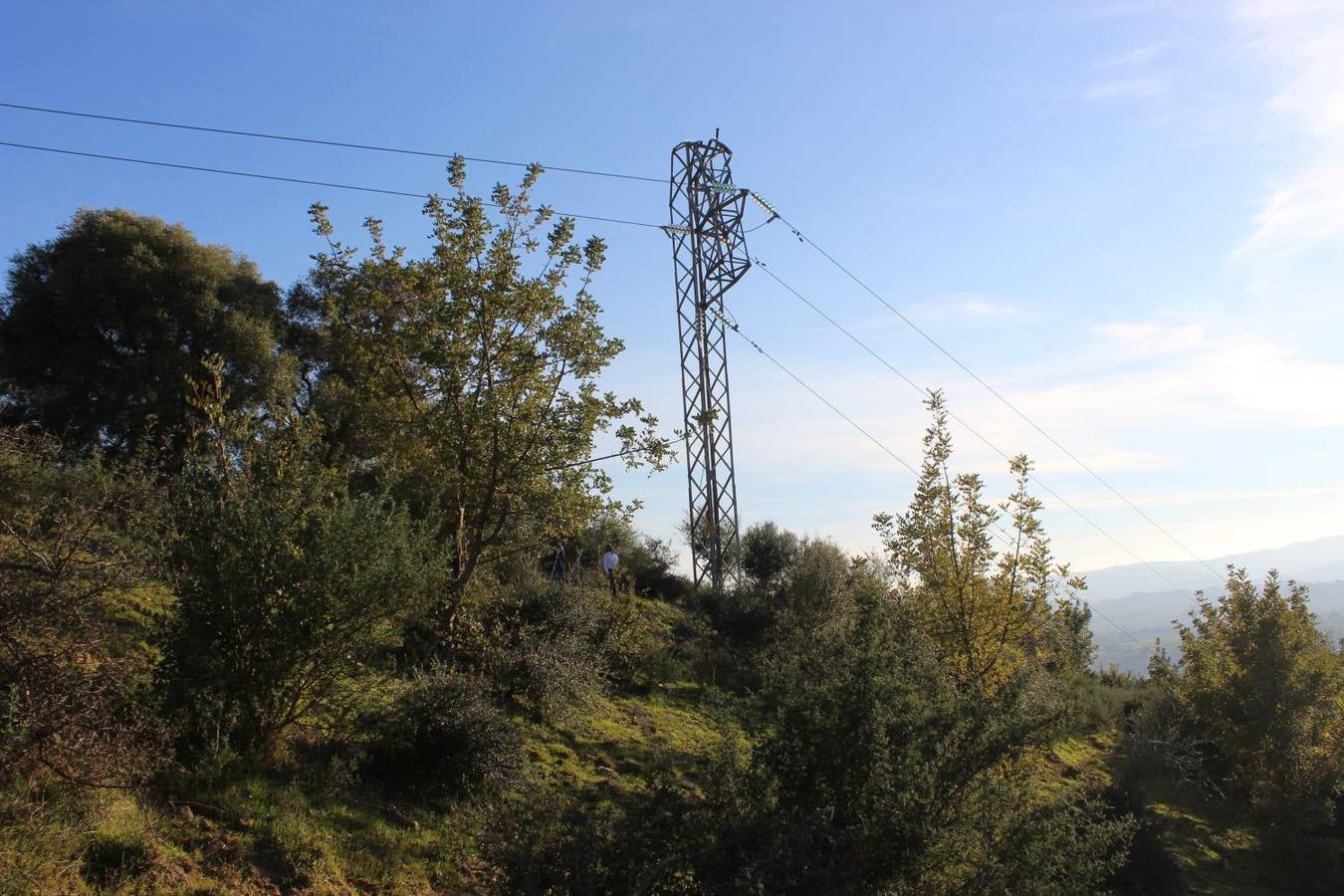 Mueren en un accidente los dos ocupantes de un helicóptero con droga durante una persecución