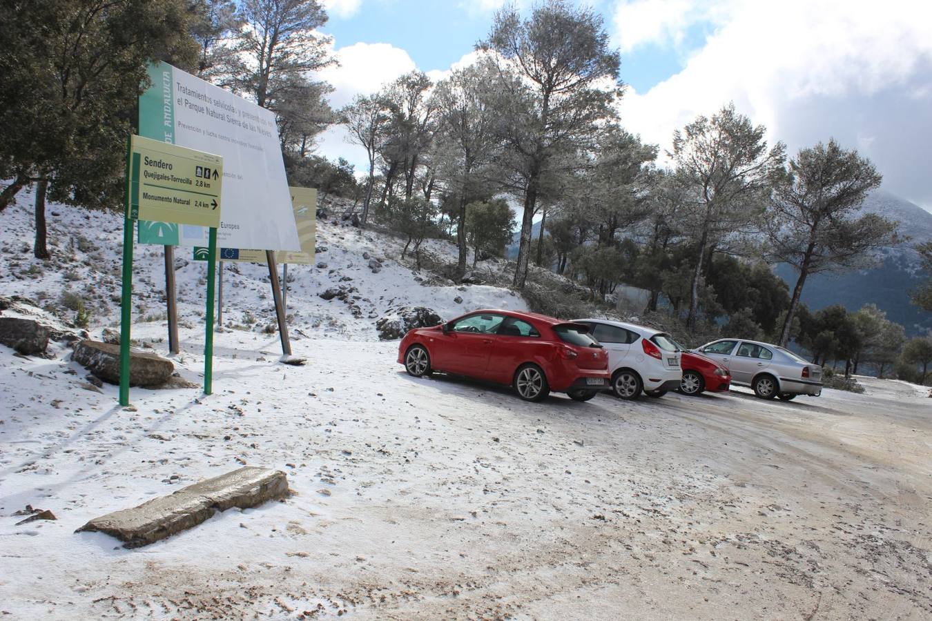 Nieva en distintos puntos de la Serranía de Ronda