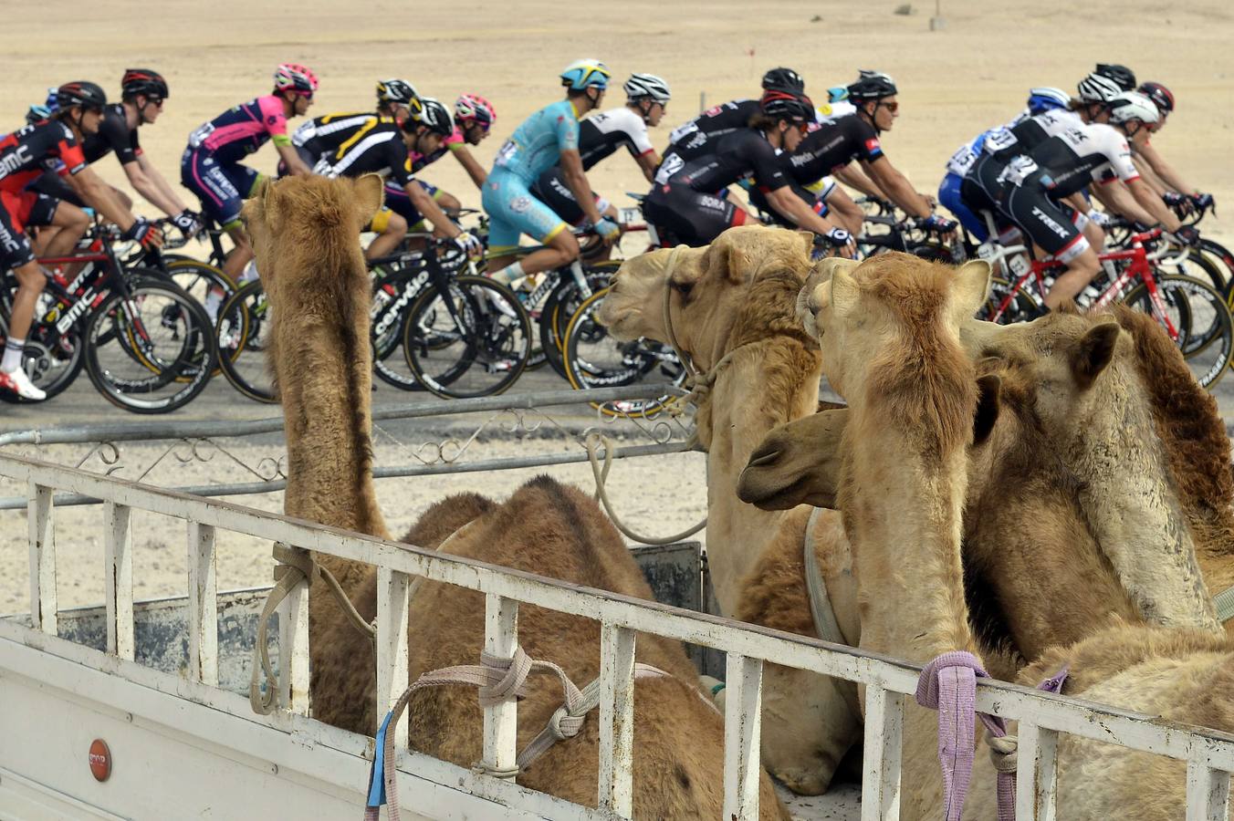 Imágenes del Tour de Qatar