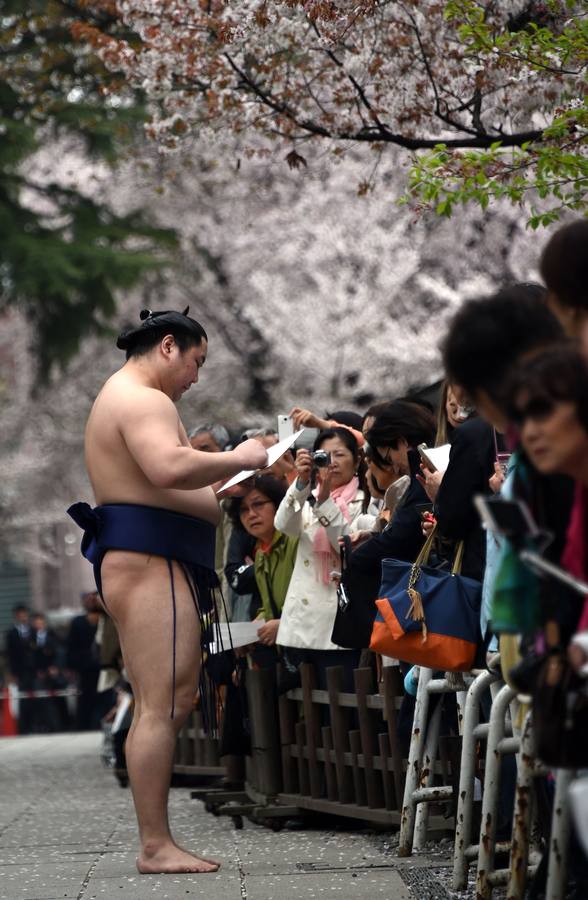 Luchadores de sumo participan en una exhibición anual en el santuario Yasukuni de Tokio