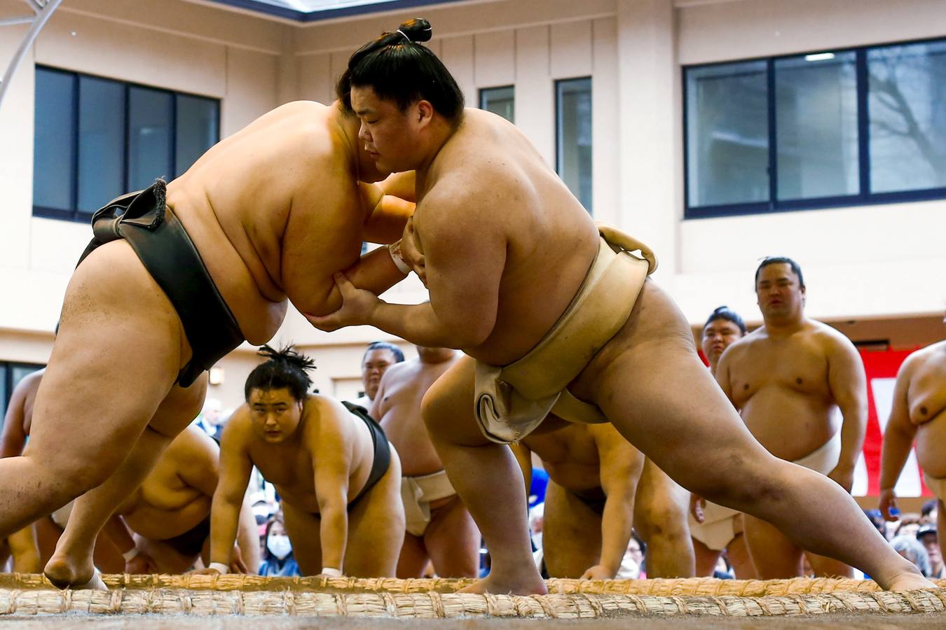 Luchadores de sumo participan en una exhibición anual en el santuario Yasukuni de Tokio