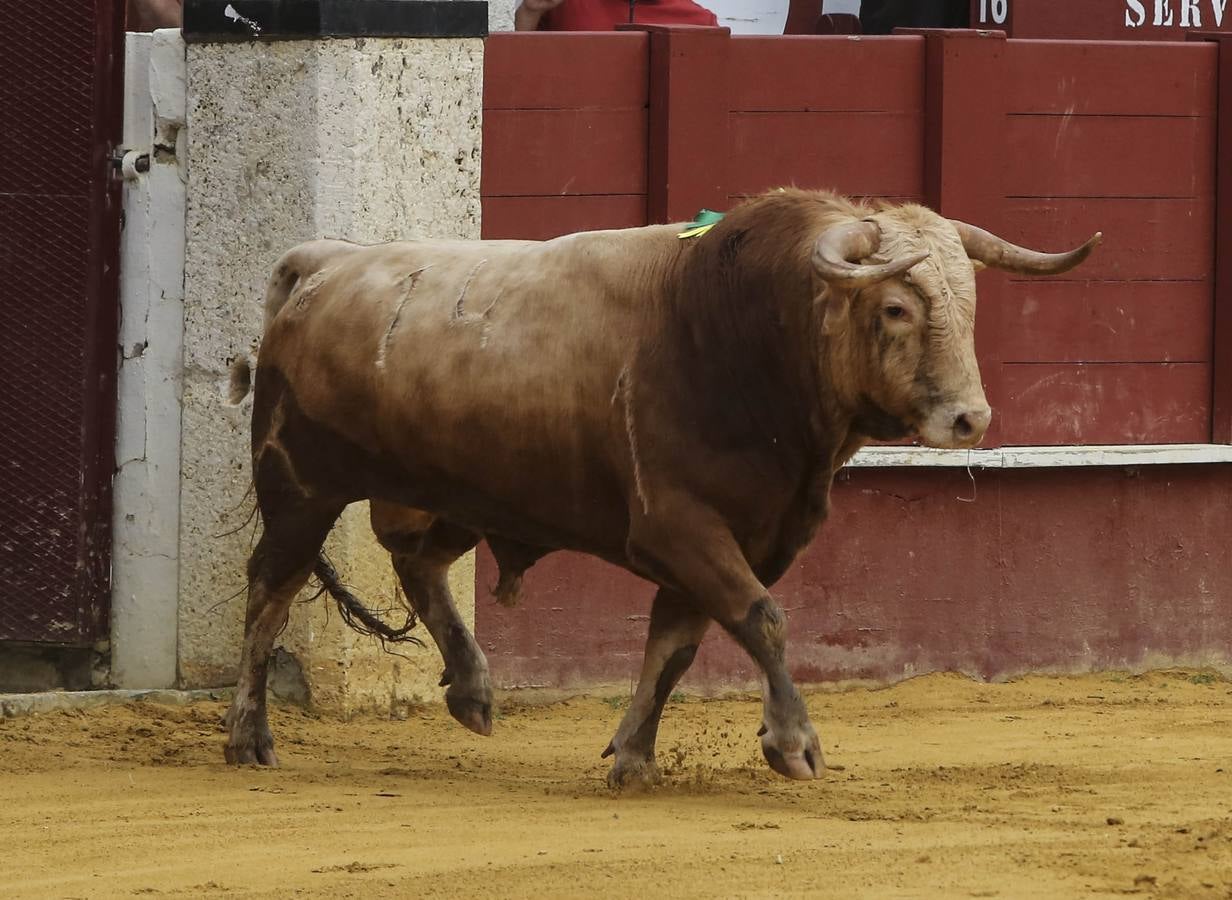 Perera corta una oreja en Málaga