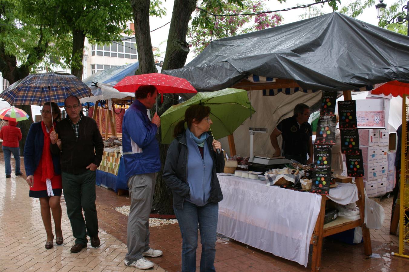 Sierra de Yeguas celebra su XV Feria del Espárrago