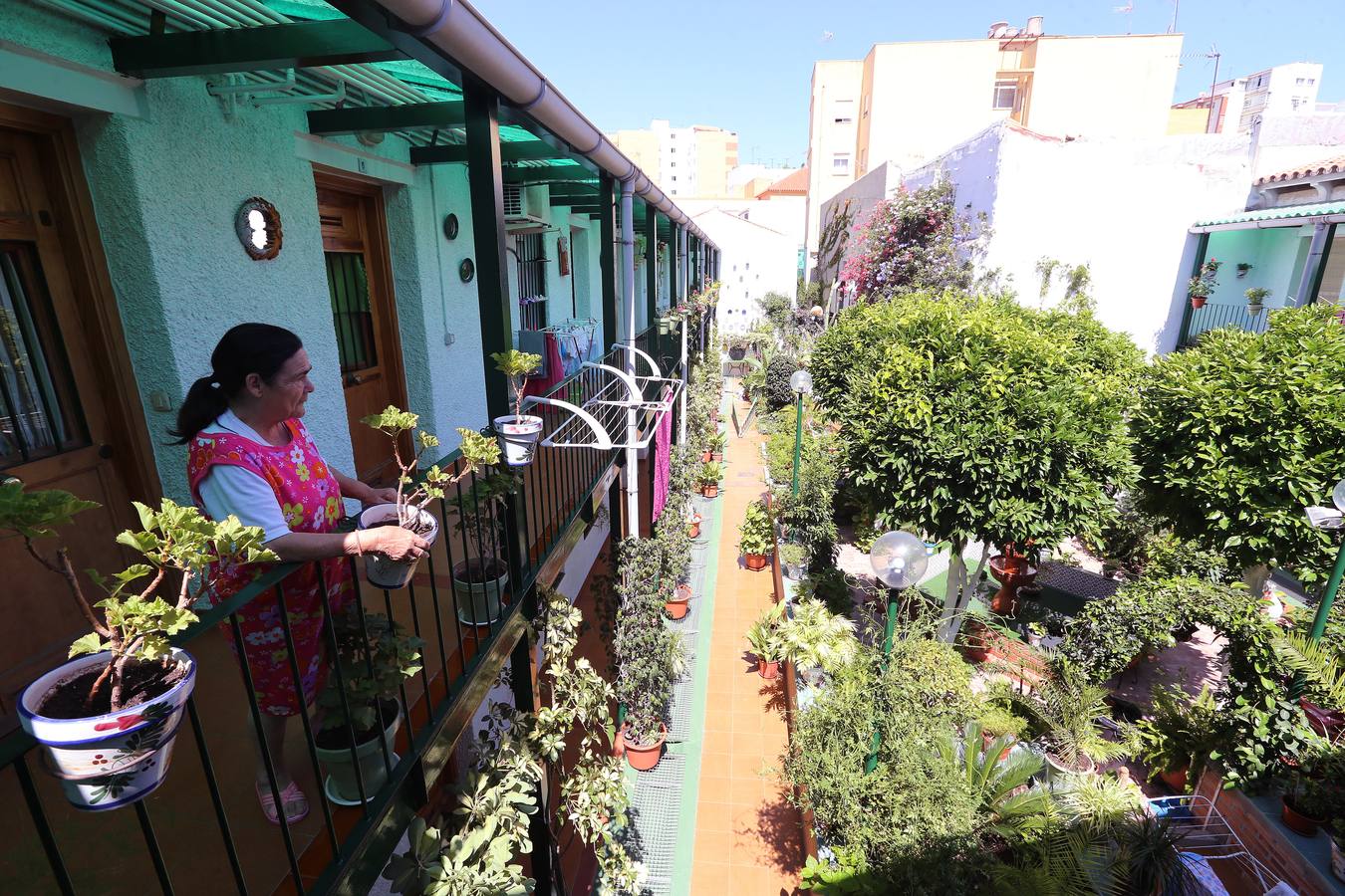 La undécima semana cultural de los corralones, en imágenes