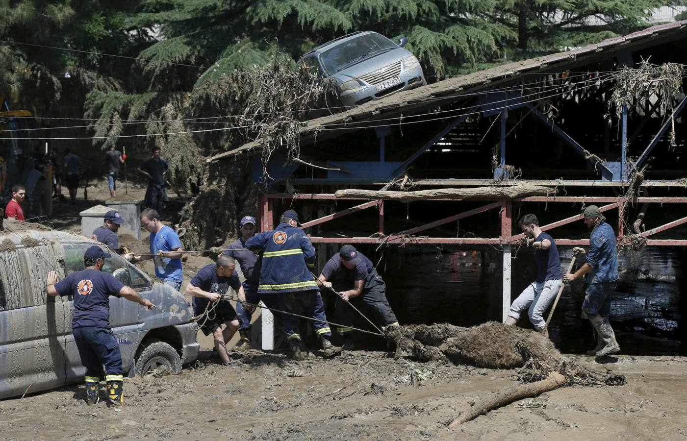 Todo vuelve a la normalidad en el zoo de Georgia, tras las inundaciones