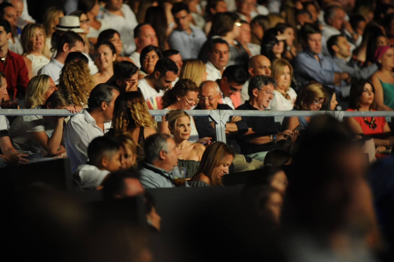 El concierto de Enrique Iglesias, en imágenes