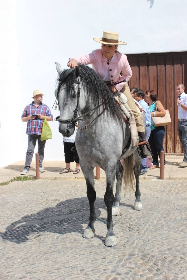 El caballo, protagonista de la Feria en Ronda