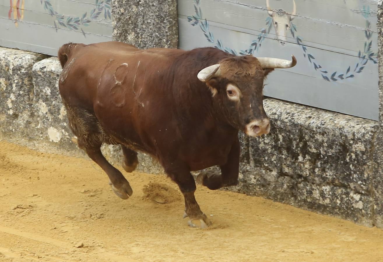 La Goyesca, en imágenes (II)